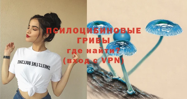 трава Армянск